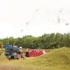 La restructuration aspire à une agriculture verte