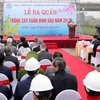 Hanoi lance la Fête de la plantation d'arbres 2017