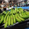 Les bananes vietnamiennes de plus en plus appréciées dans le monde