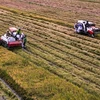 Avenir de la chaîne d’approvisionnement agricole du delta du Mékong