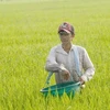 La Chine, premier fournisseur d’engrais du Vietnam
