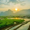 Mu Cang Chai à la saison du repiquage du riz