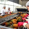 Les exportations de fruits et légumes en hausse de 38%