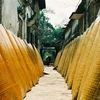 Cu Dà, un village de métier traditionnel de miên dong à Hanoï