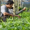 Agriculture : Dien Bien renforce la coopération avec des localités laotiennes