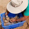 30.000 reliques découvertes dans le tertre Go Cây Me à Binh Dinh