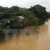 Aides aux sinistrés des catastrophes naturelles au Vietnam