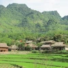 Giang Mô opte pour le tourisme communautaire