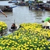 Têt 2018 : fêtes des fleurs à Hô Chi Minh-Ville