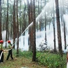 Dak Nong met l'accent sur la prévention des incendies à la saison sèche 