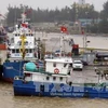 Le Japon offre des lampes à LED aux bateaux de pêche de Quang Tri