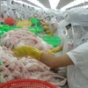 Maruha Nichiro renforce ses importations de pangasius du Vietnam