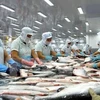 La filière poisson tra vise 2 milliards de dollars d'exportations en 2018