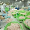 An Giang : plus de 276 millions de dollars des exportations de riz et de pangasius 