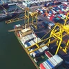 Des investisseurs néerlandais veulent investir dans les infrastructures portuaires au Vietnam
