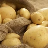 Vietnam, marché prometteur pour les exportateurs étrangers de pommes de terre