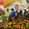 Le Festival des fruits du Nam Bô 2018 prévu en juin
