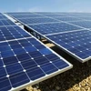 Energie solaire : Ninh Thuan remet la licence d’investissement à neuf projets 