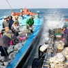 Aquaculture : le Vietnam adhère à l’accord PSMA de la FAO