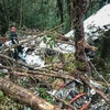 Un avion s'écrase en Indonésie: huit morts, un survivant