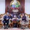 Promotion des relations spéciales Vietnam - Laos