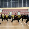 Ouverture des premiers Championnats du monde d'arts martiaux traditionnels vietnamiens