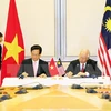 Nouvelles perspectives pour la coopération entre le Vietnam et la Malaisie et Singapour