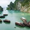 Le Figaro : les 10 sites et attractions incontournables au Vietnam
