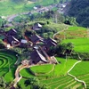 Le Vietnam parmi les meilleurs endroits pour voyager seul