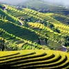 Semaine culturelle et touristique des rizières en terrasse de Hoàng Su Phi 