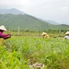 ASEM : le Vietnam promeut les Objectifs de Développement durable