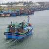 Quang Ngai : postes de radiocommunication en mer pour pêcheurs
