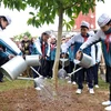 Lancement de la Fête de la plantation d'arbres du Printemps Binh Thân 2016