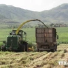 Le 12e Congrès du Parti : le développement agricole associé à l'édification d'une Nouvelle ruralité