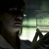 Aucun cas de virus Zika signalé au Vietnam