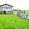 Syngenta ne cesse de soutenir le Vietnam pour un développement durable de l’agriculture