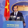 Le Vietnam appelle à des actions responsables en Mer Orientale