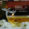 MH370: la disparition du Boeing reste un mystère deux ans après 