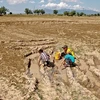 El Nino commence à faiblir, mais la sécheresse perdure au Vietnam