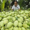 L’Australie s'apprête à ouvrir sa porte aux mangues vietnamiennes
