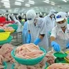 Davantage de producteurs autorisés à exporter des poissons tra aux Etats-Unis