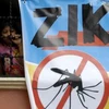 Aucun cas de virus Zika détecté à Ho Chi Minh-Ville