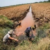 Les impacts de la sécheresse et de la salinisation au menu du MDEC