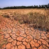 Des chercheurs américains discutent de la sécheresse dans le Delta du Mékong
