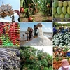 Les exportations agricoles, sylvicoles et aquatiques atteignent 15 mds d’USD en 6 mois