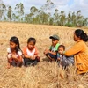 El Nino : accélération des procédures pour accéder à l’aide de la BAD