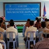 Efforts des ambassades du Vietnam au Cambodge et aux EAU dans la protection de leurs citoyens