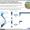 Grenier à riz dans le delta du Mékong subira de lourds dégâts 