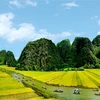 La bande-annonce officielle de "Kong : Skull Island" révèle des paysages imposants du Vietnam 