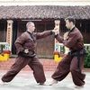 Clôture des premiers Championnats du monde d'arts martiaux traditionnels vietnamiens